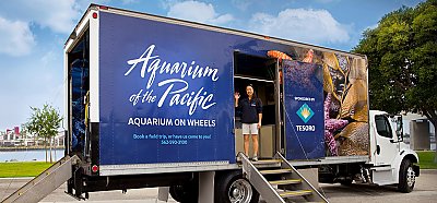 Aquarium on Wheels with educator - thumbnail