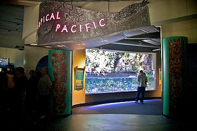 Tropical Pacific Gallery entrance - thumbnail