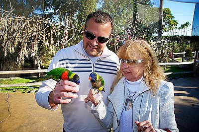 two people with lorikeets on their hands - thumbnail