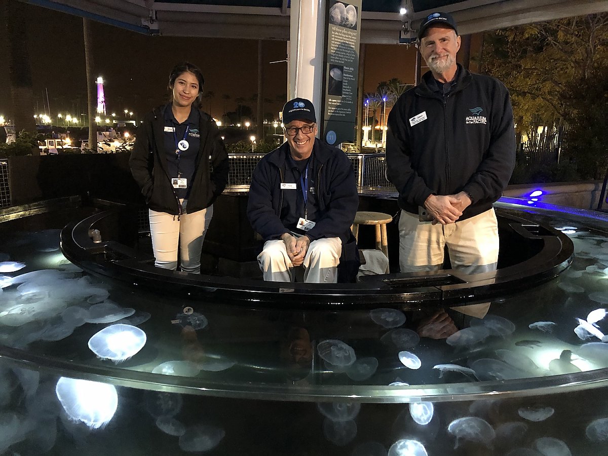 Three volunteers man the moon jelly touch lab at night.