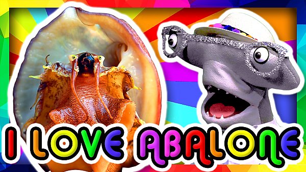 I Love Abalone video thumbnail featuring Seymour Shark