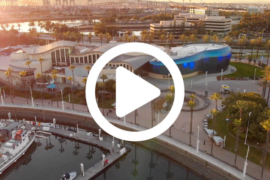 Aerial View of Aquarium with Play Button